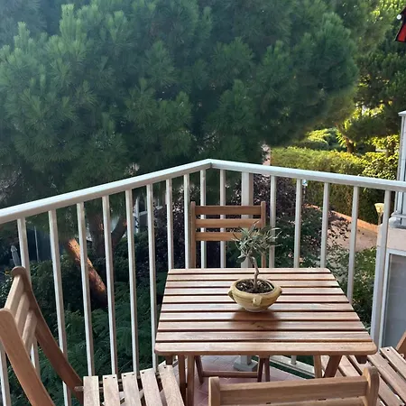 T3 Renove Proche Port Et *